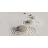 Relax 50x24,9
