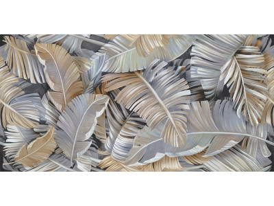 Spector 120x60