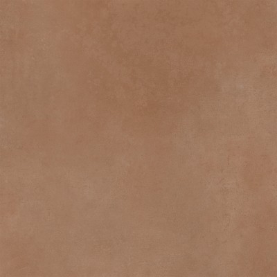 Spector 60x60