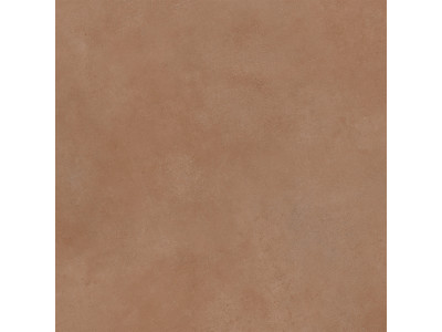 Spector 60x60
