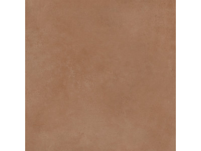 Spector 60x60