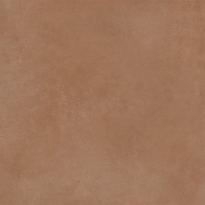 Spector 60x60