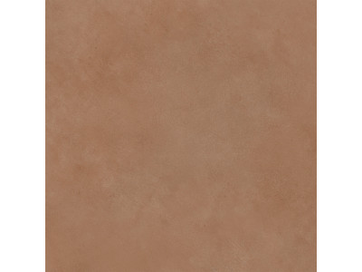 Spector 60x60