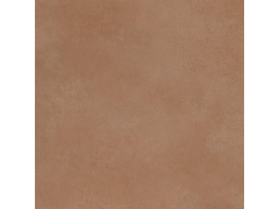 Spector 60x60