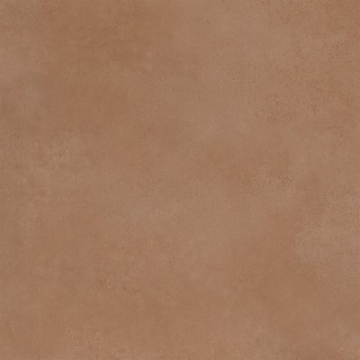 Spector 60x60