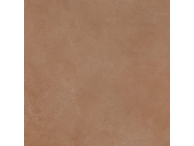 Spector 60x60