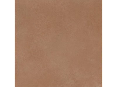 Spector 60x60