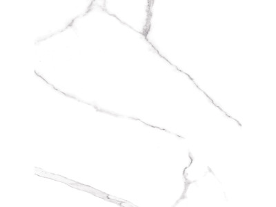 Carrara 60x60
