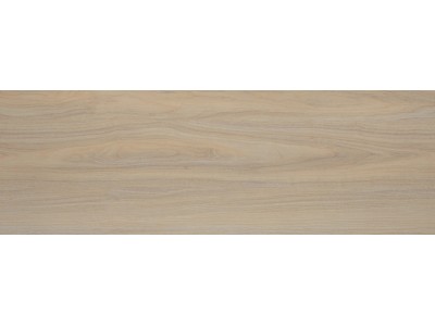 Плитка настенная Tokio 60x20
