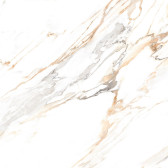 Trendy 60x60