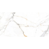 Trendy 120x60

