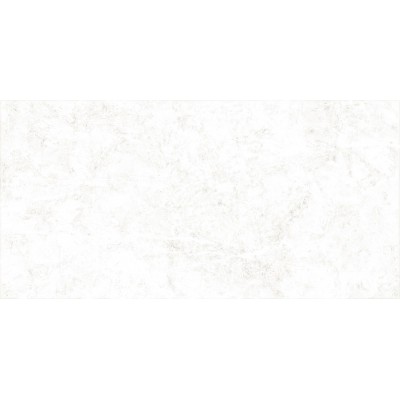 Trevis 50x24,9
