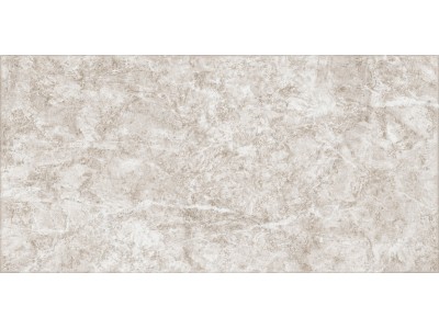 Плитка настенная Trevis 50x24,9
