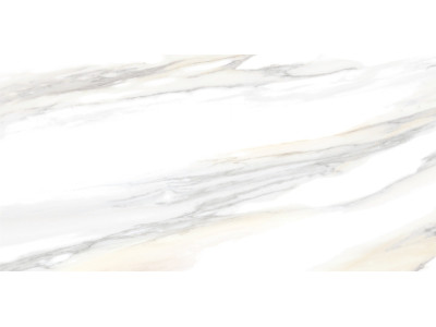 Corsica 50x24,9
