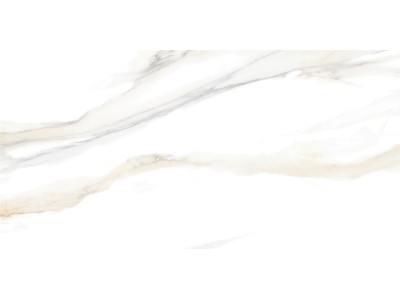 Corsica 50x24,9
