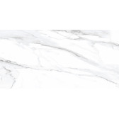 Vegas 50x24,9
