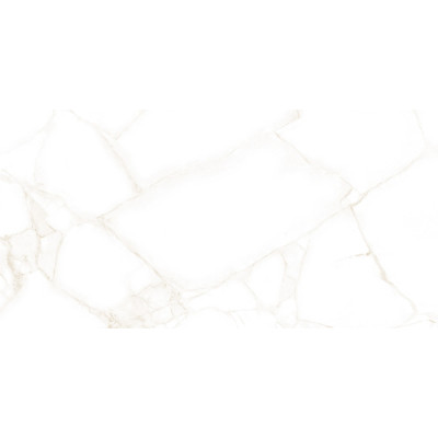 Artdeco White 50x25
