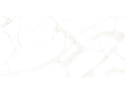 Artdeco White 50x25
