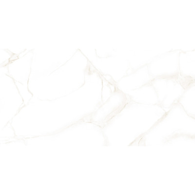 Artdeco White 50x25
