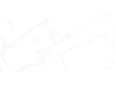 Artdeco White 50x25
