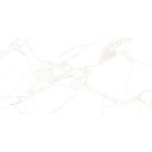 Artdeco White 50x25
