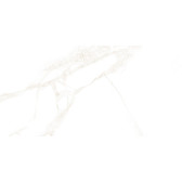 Artdeco White 50x25
