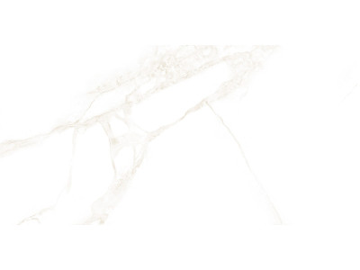 Artdeco White 50x25
