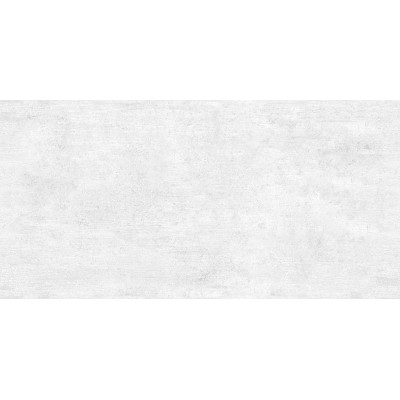 Beton Gray 50x24,9