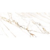 Detroit Calacatta Gold 50x24,9
