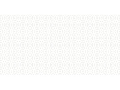 Плитка настенная Eleganza White 50x24,9
