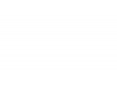 Плитка настенная Snow White Gloss 50x24,9
