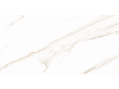 Esprit Calacatta 50x25