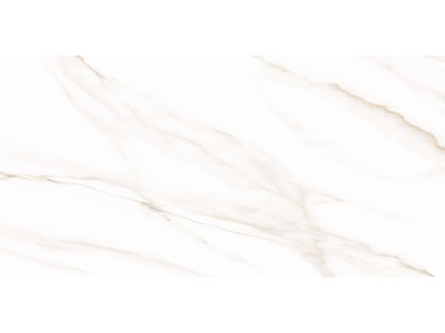 Esprit Calacatta 50x25