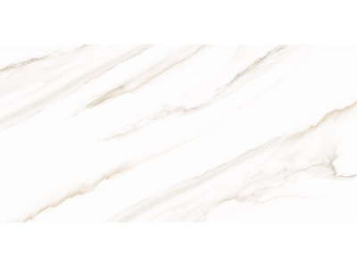 Esprit Calacatta 50x25