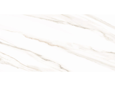 Esprit Calacatta 50x25