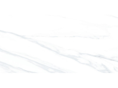 Julia Light 50x24,9
