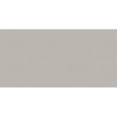Megapolis Gray 50x24,9
