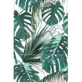 Paradise S/3 50x75
