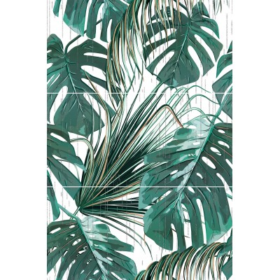 Paradise S/3 50x75
