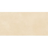 Petra Beige 50x24,9
