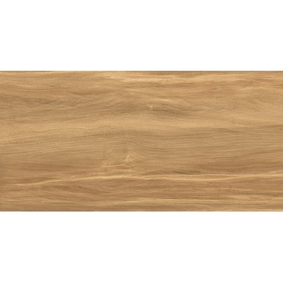 Portland Dark 50x24,9
