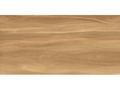 Portland Dark 50x24,9

