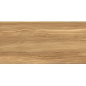 Portland Dark 50x24,9
