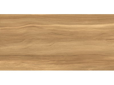Portland Dark 50x24,9
