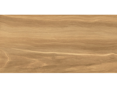 Portland Dark 50x24,9

