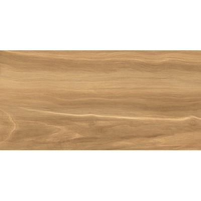 Portland Dark 50x24,9
