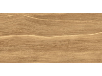 Portland Dark 50x24,9
