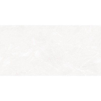 Sens Light 50x25
