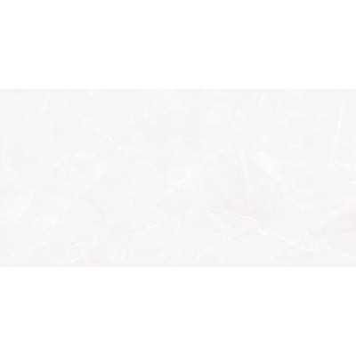 Sens Light 50x25
