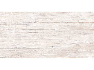 Village Plate 50x24,9
